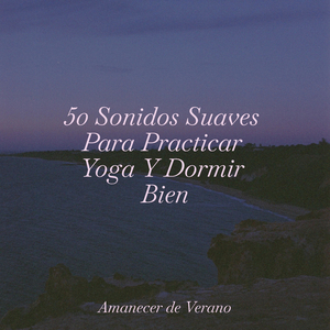 Arrullo del Arroyo Susurrante