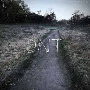 DNT