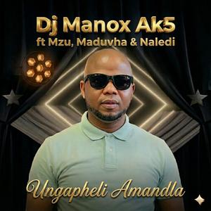 Ungapheli Amandla