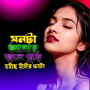 মনটা আমার জ্বলে পুড়ে হইছে ইটের ভাটা