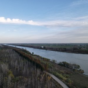 情人节的情人节