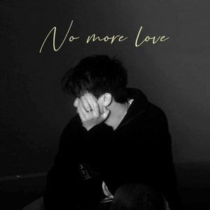 沒了你以後我就不會再愛