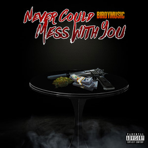 Never Could Mess With You