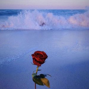 我的心深不见底