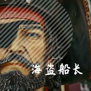 海盗船长