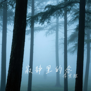 寂静里的念