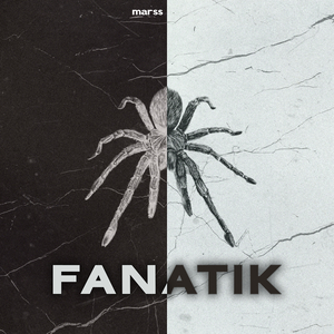 Fanati̇k