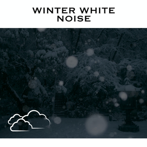 Winter Storms - No Fade