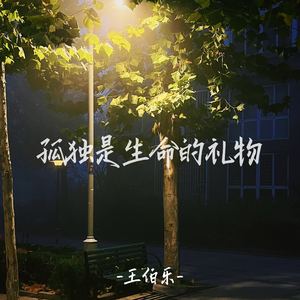 孤独是生命的礼物