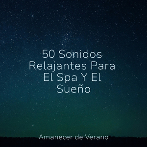 Paisaje Sonoro del Santuario Iluminado por el Sol