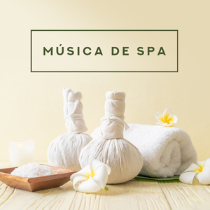 Maravillosos Momentos de Relax