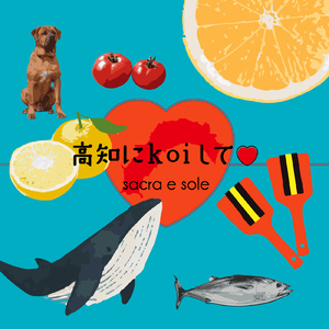 高知にkoiして