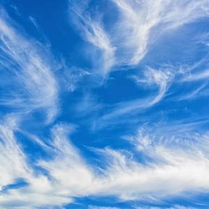 当这地球没有花