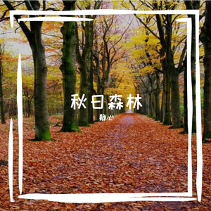 秋日森林 伴奏
