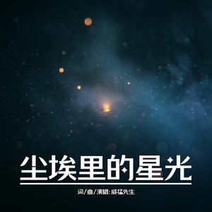 尘埃里的星光