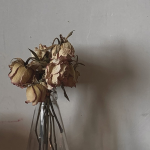 Junio