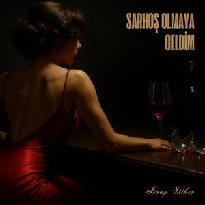 Sarhoş Olmaya Geldim