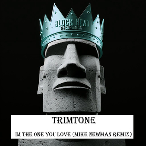 I'm The One You Love (Mike Newman Remix)