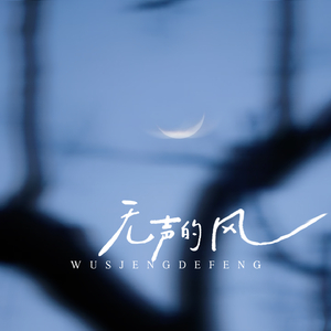 无声的风