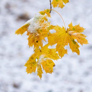 Vast Mysterious Oceans Whisper Secrets, Revealing Stories of Hidden Worlds