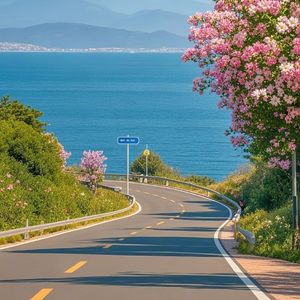 沙滩上的贝壳信