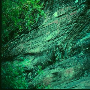 We Are Chasing For The Love