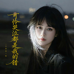 可怜哭泣都是我的错