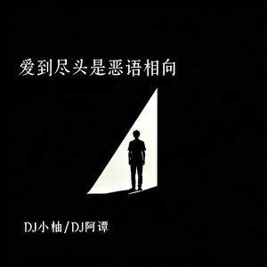 爱到尽头是恶语相向(DJ版)
