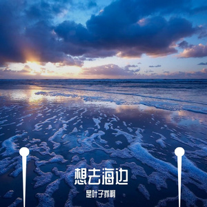 想去海边