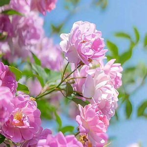 沿途经过的从前