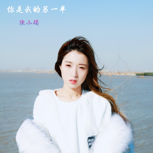 你是我的另一半（电影《青春逆袭路》主题曲）