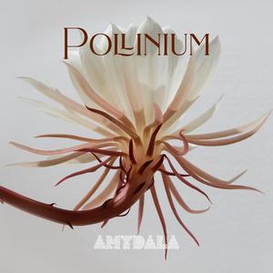 Pollinium