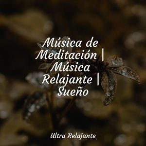 Anochecer En La Distancia