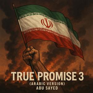True Promise 3 (Arabic Version)