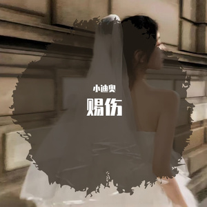 赐伤（cover 洋澜一）