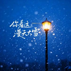 你看这漫天大雪