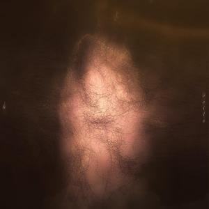 Tulle (Warmth Remix)