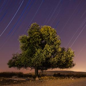 Jasen Roll Back (feat. Hot Instrumental 5 & KaSaunj) (Instrumental)