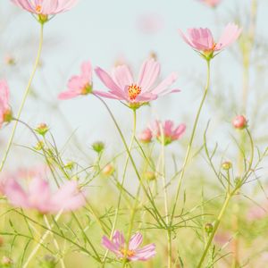 我们一起追的女孩