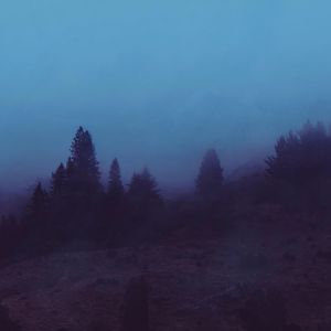 「FREE」“Bow！” ｜MemphisType｜