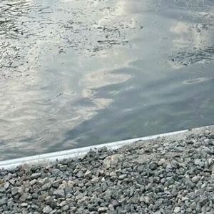 空空荡荡的酒杯