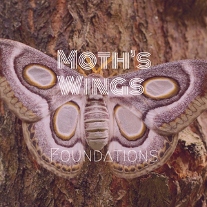 Moth Wings