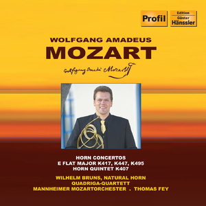 Horn Concerto No. 3 in E-Flat Major, K. 447:I. Allegro