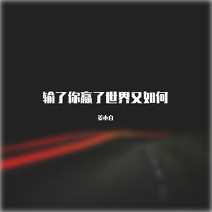 输了你赢了世界又如何（女声版）