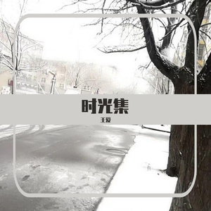 时光集