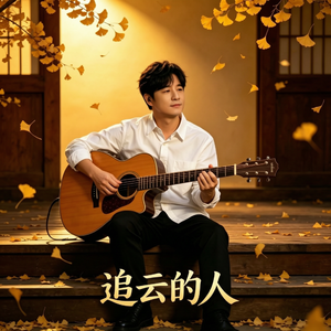 《追云的人》