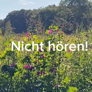 Nicht hören! (2023 Remastered Version)