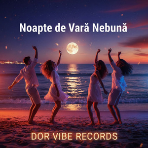 Noapte de vară nebună