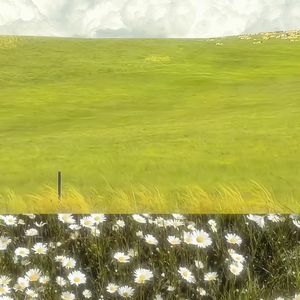 【破碎琴键pt3】Jerk