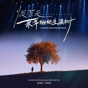 来年枇杷生满树+恨苍天 (DJLHN版)